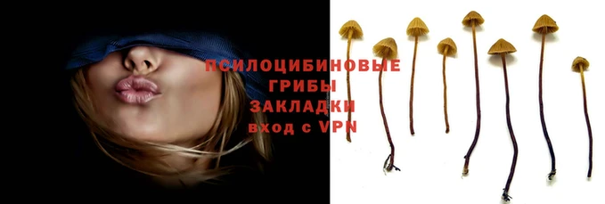 гашиш Беломорск
