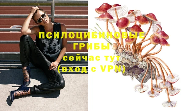 дмт Белоозёрский