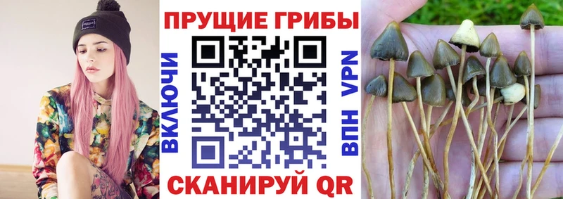 Псилоцибиновые грибы прущие грибы  где купить наркотик  Ермолино 